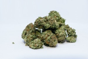 Kiedy medyczna marihuana wróci do aptek? 