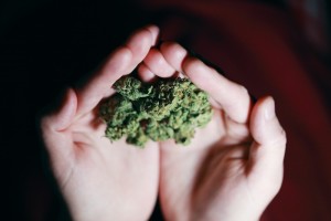 Medyczna marihuana - sytuacja pacjentów po ponad 3 latach od legalizacji