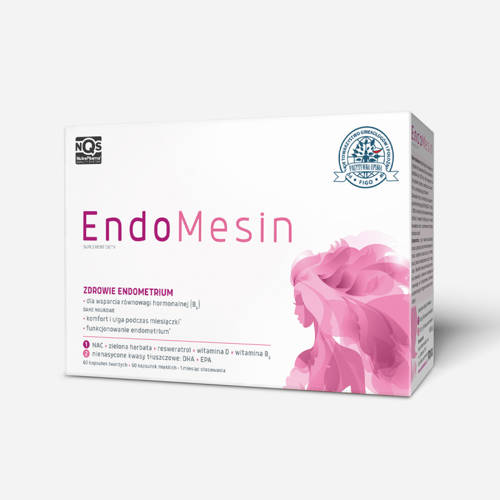EndoMesin