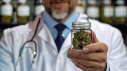 Marihuana z apteki